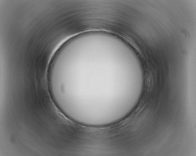 X0000114231068200910091323