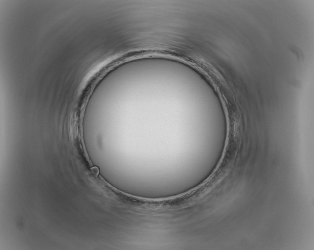 X0000114231069200910091323