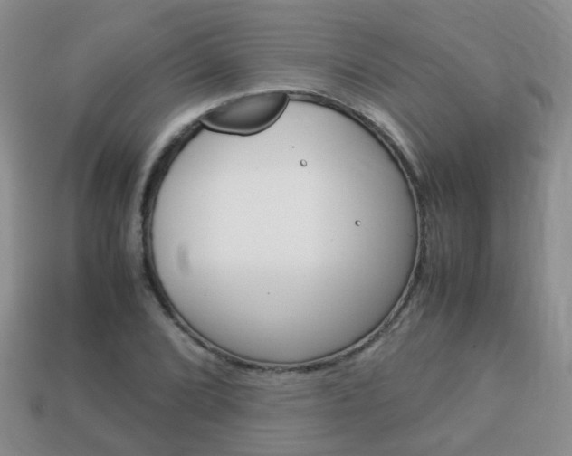 X0000114231072200910091323