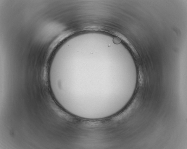 X0000114231074200910091323