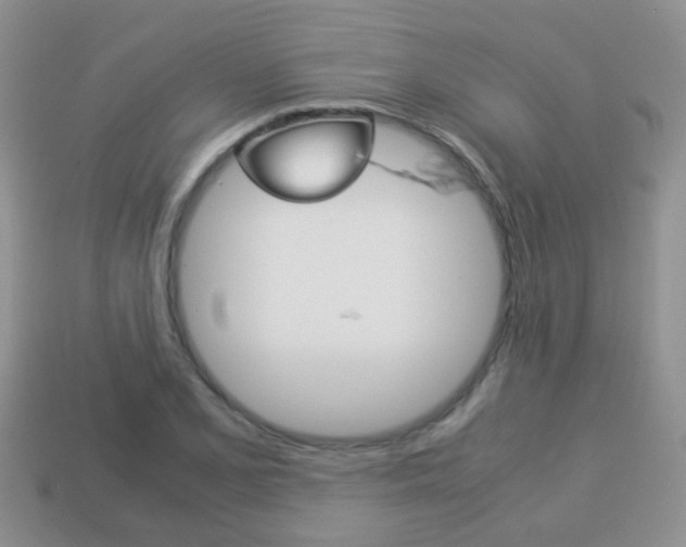 X0000114231077200910091323
