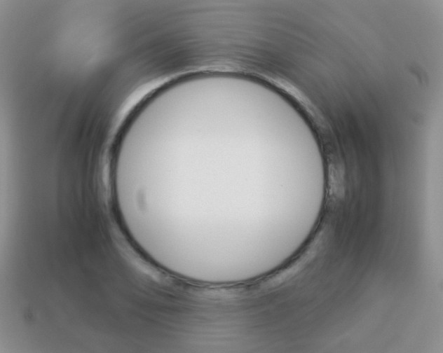 X0000114231078200910091323