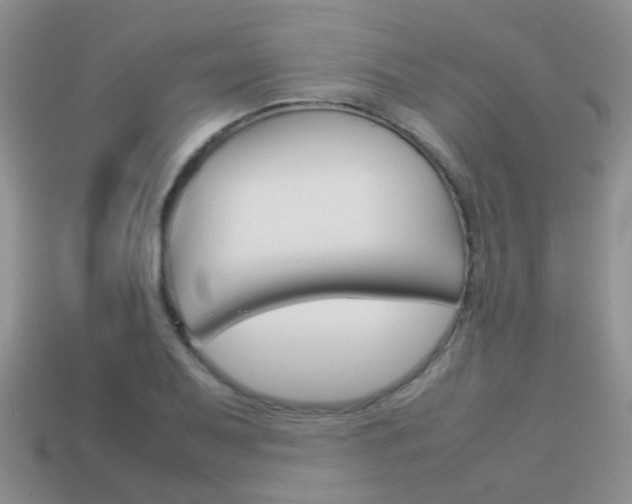 X0000114231079200910091323