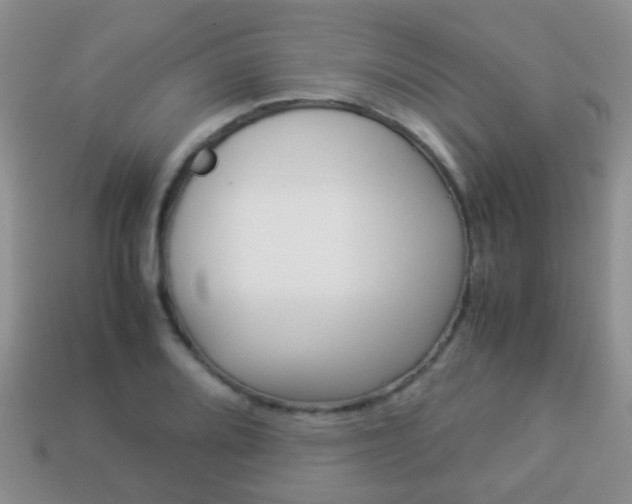 X0000114231080200910091323