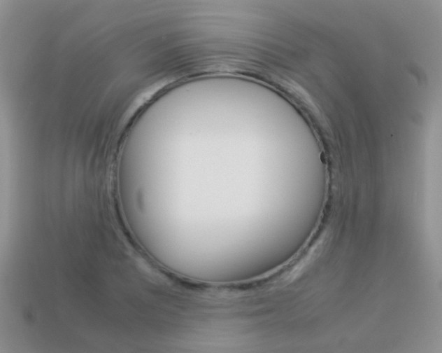 X0000114231081200910091323