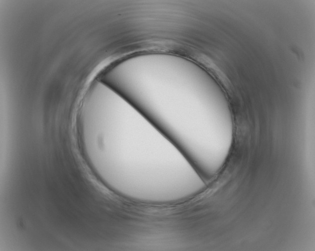 X0000114231083200910091323