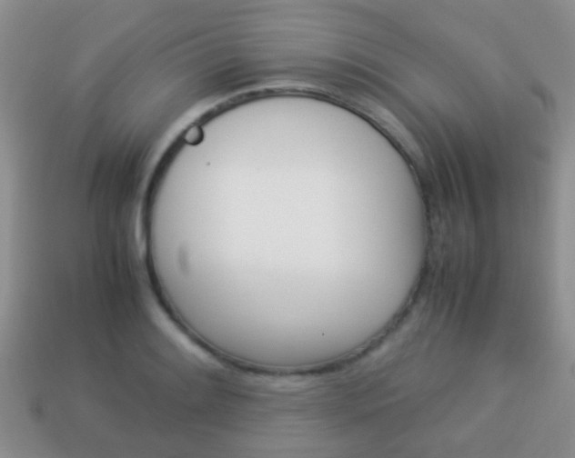 X0000114231084200910091323