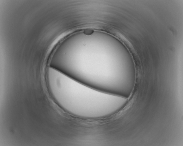 X0000114231085200910091323
