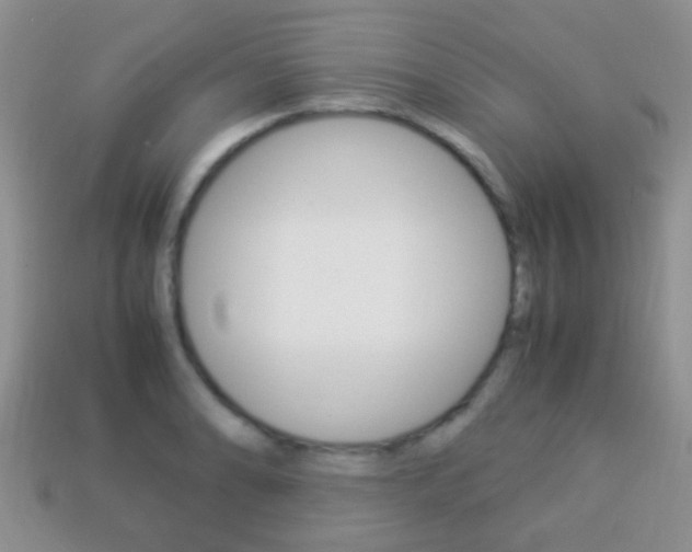 X0000114231086200910091323