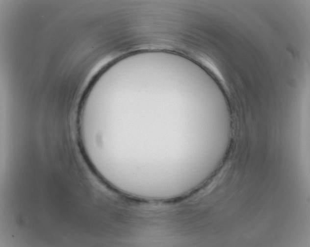 X0000114231087200910091323
