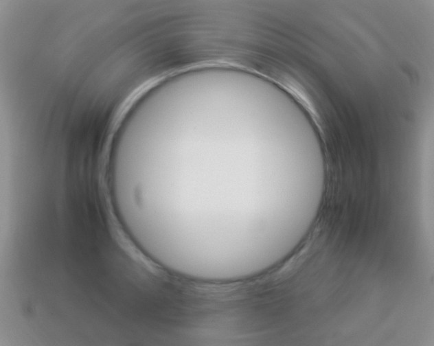 X0000114231088200910091323
