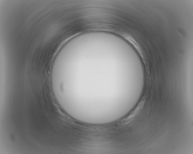X0000114231089200910091323