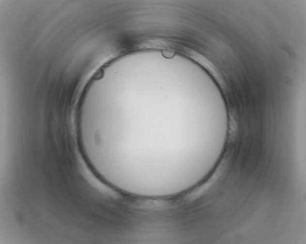 X0000114231090200910091323