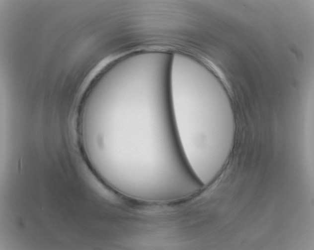X0000114231091200910091323