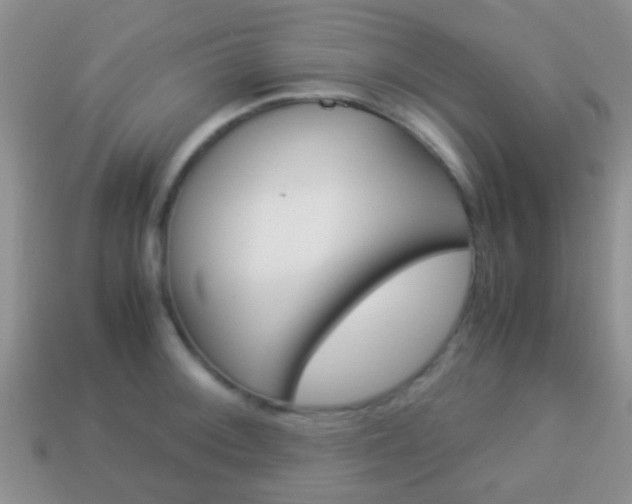 X0000114231092200910091323