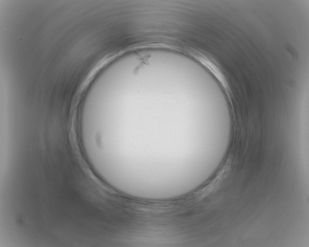 X0000114231093200910091323