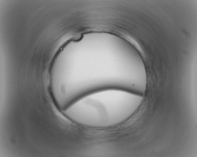 X0000114231095200910091323