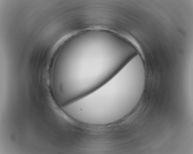 X0000114231096200910091323