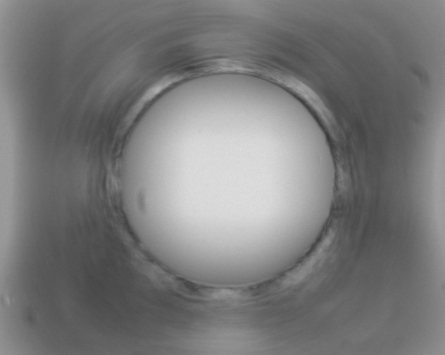 X0000114231097200910091323