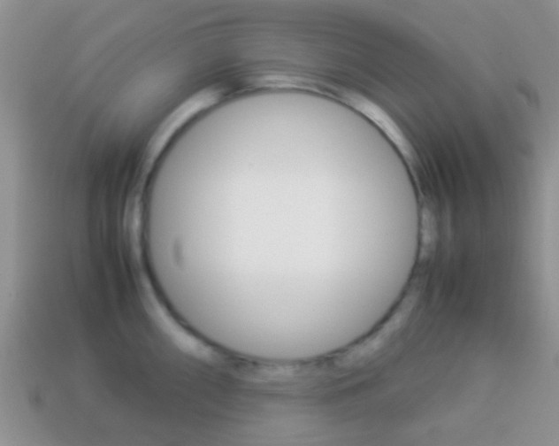 X0000114231098200910091323