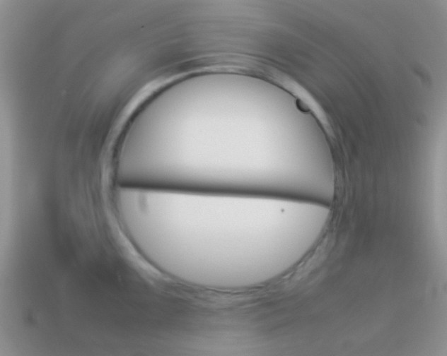 X0000114231099200910091323