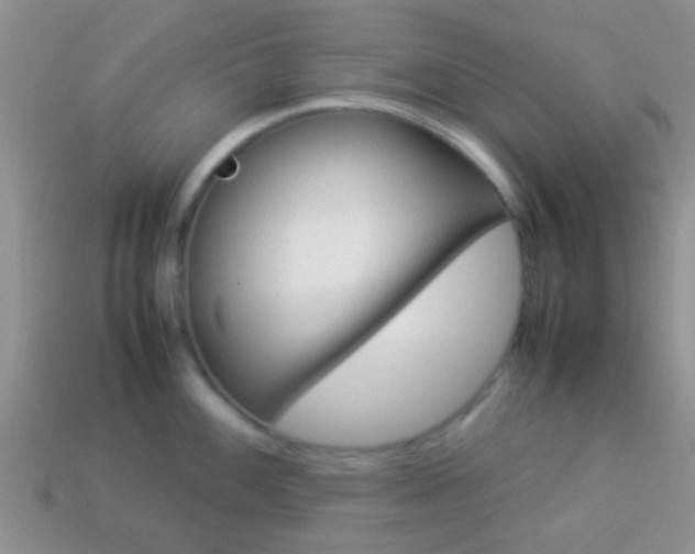 X0000114231100200910091323