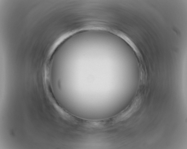 X0000114231101200910091323