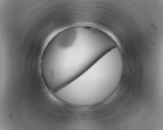 X0000114231102200910091323