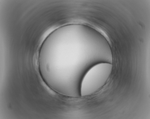 X0000114231103200910091323
