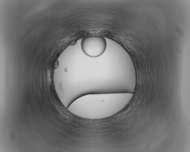 X0000114231106200910091322