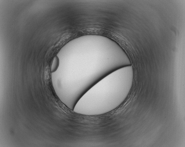 X0000114231107200910091322