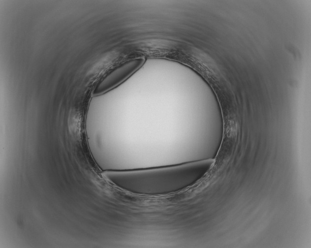 X0000114231108200910091322