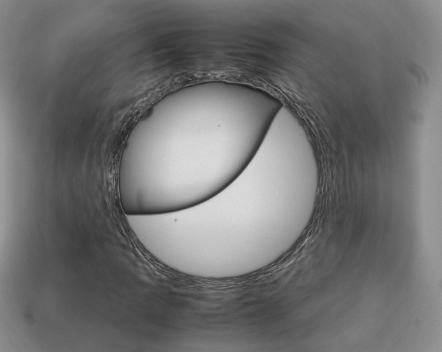 X0000114231109200910091322