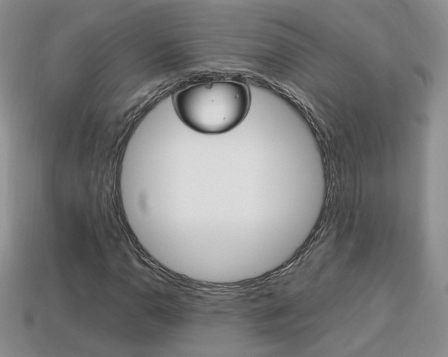 X0000114231110200910091322