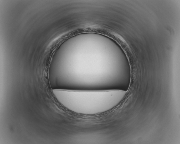 X0000114231112200910091322