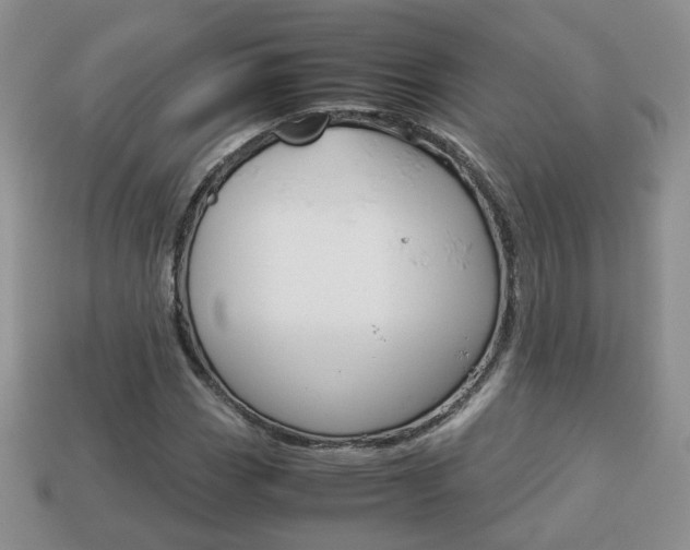 X0000114231113200910091322