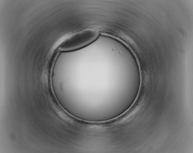 X0000114231114200910091322