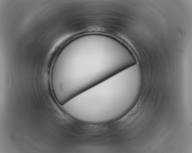 X0000114231115200910091322