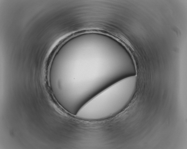 X0000114231116200910091322
