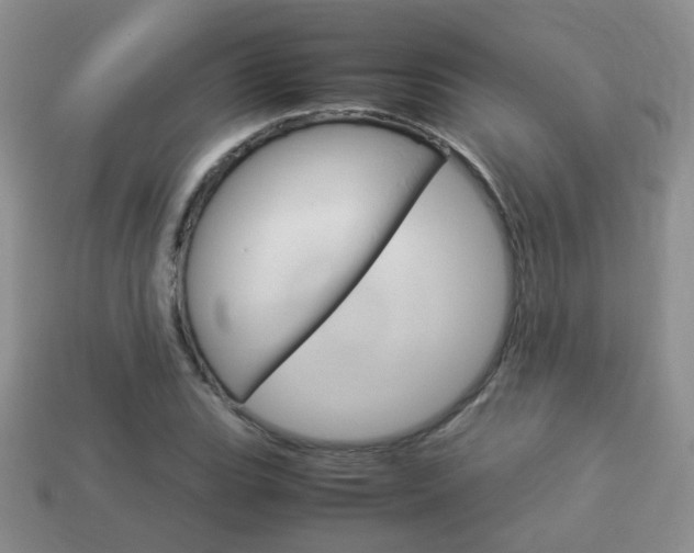 X0000114231119200910091322