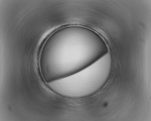 X0000114231120200910091322