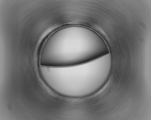 X0000114231122200910091322
