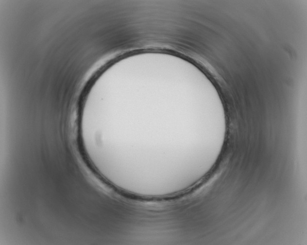 X0000114231126200910091322