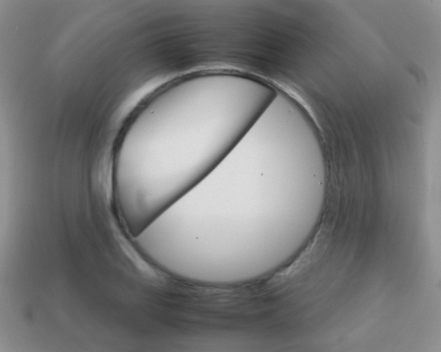X0000114231127200910091322