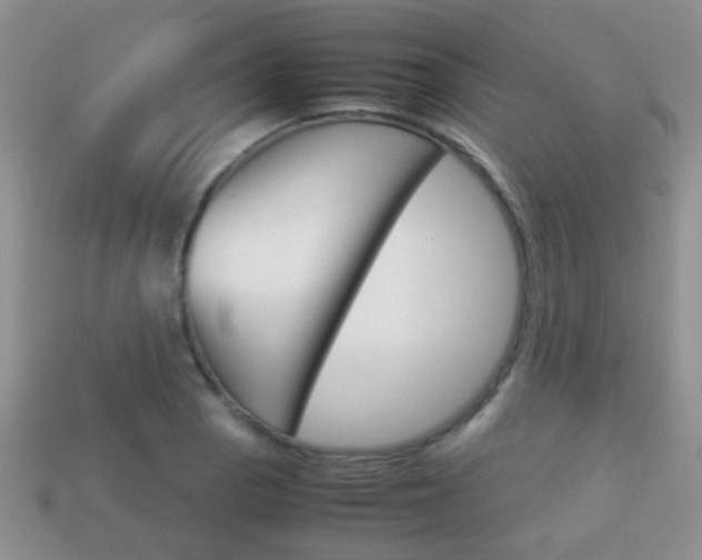 X0000114231129200910091322