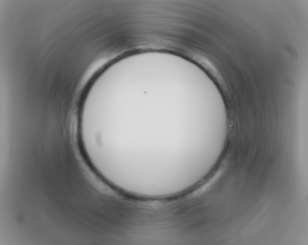 X0000114231130200910091322