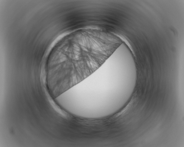 X0000114231131200910091322