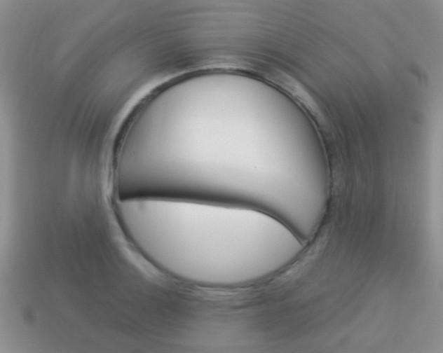 X0000114231132200910091322