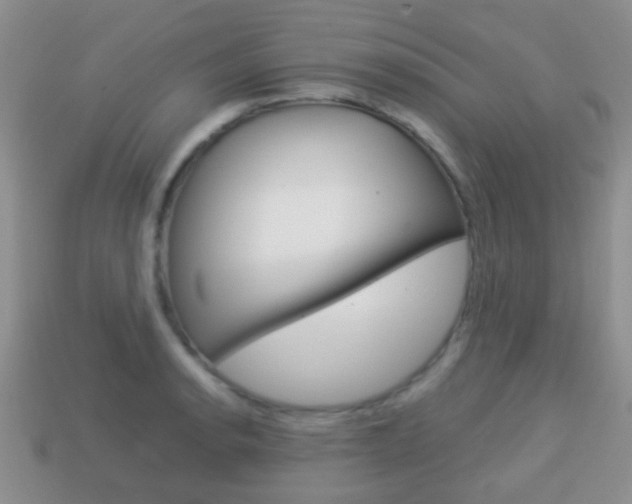 X0000114231134200910091322