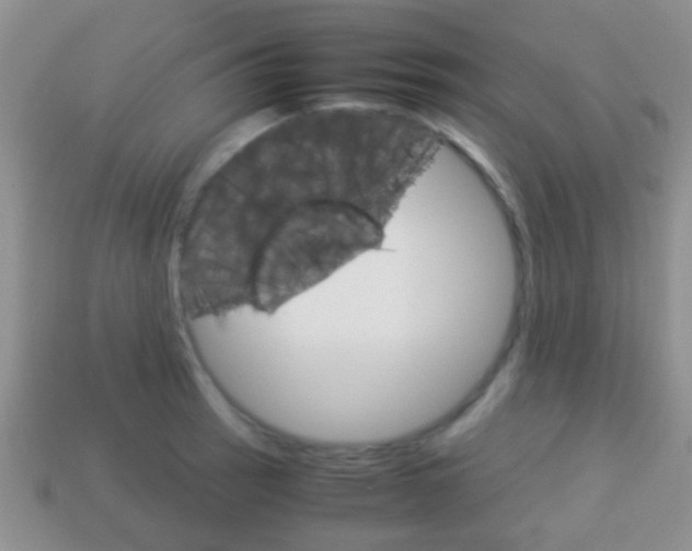 X0000114231137200910091322